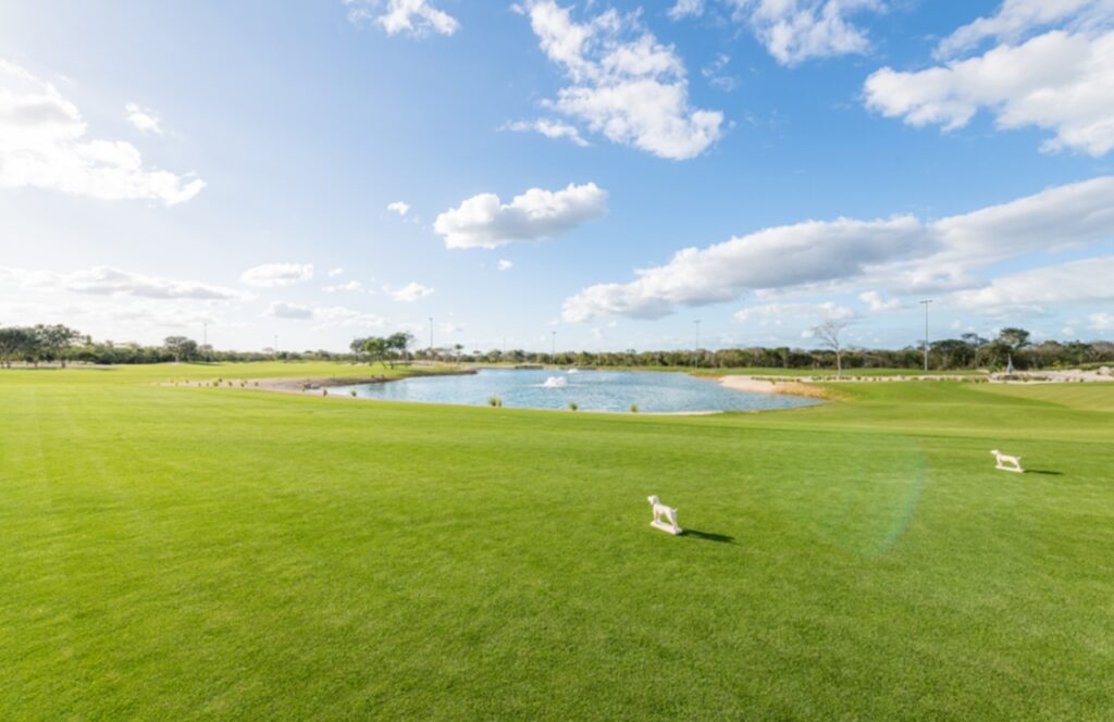 WhatsApp Image 2022-07-17 at 9.20.33 AM